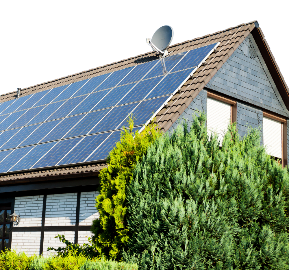 The Silent Revolution Happening on Rooftops Everywhere
